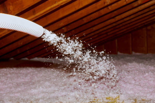 Types of Insulation We Offer in Fort Myers, FL